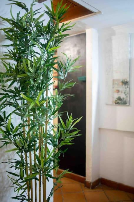 罗马Via Dei Cestari Loft公寓 外观 照片